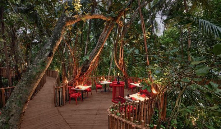 519560-Niyama_Private_Islands_Maldives_Restaurant_Nest_Details_Treetop-3797aa-original-1704170535-720x480