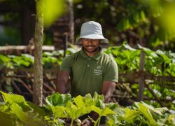 Atmosphere Core Publishes Core Impact Report 2025, Showcasing Sustainability Progress Across Maldives Resorts