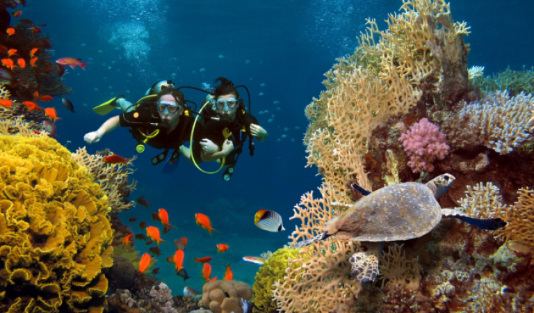 Avani+ Fares Maldives Hosts PADI AWARE Week 2025 with Exclusive Diving Experiences for Guests