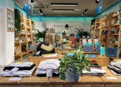 BCC Launches BizConnect to Strengthen Entrepreneur Support Across Island Economies