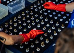 Banyan Tree Vabbinfaru Marks Earth Hour with Marine Conservation and Educational Engagement