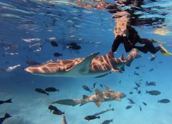 Banyan Tree Vabbinfaru and Dhawa Ihuru Advance Marine Conservation Through Month-Long July Programme