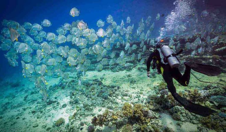 COMO Resorts Celebrate 10 Years of PADI Women’s Dive Day with Exclusive Dive Experiences in the Maldives 1