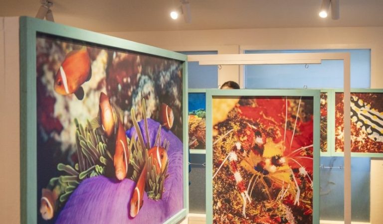 Celebrating Ocean Wonders and Women’s Empowerment Marine Photo Exhibition Opens at OBLU NATURE Helengeli by SENTIDO