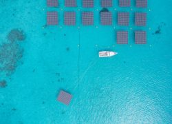 Cheval Blanc Randheli Advances Clean Energy Transition with Large-Scale Floating Solar System