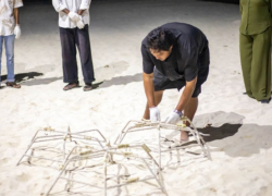 Dhiraagu and Soneva CSM Partner to Build Community-Led Coral Restoration in Dharavandhoo