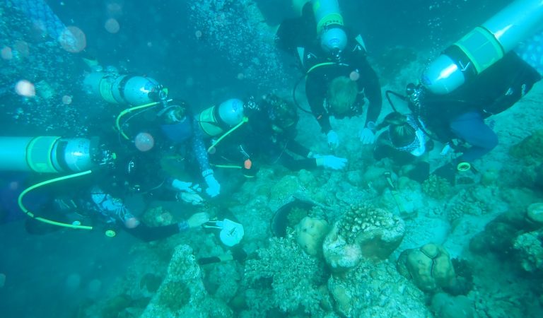 Finolhu Leads Collaborative Coral Restoration Initiative in Baa Atoll