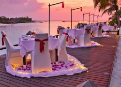 Gen Z Travellers Drive New Tourism Trends as Maldives Records Strong Visitor Satisfaction