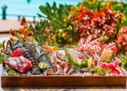 Government Advances Direct Market Access for Reef Fishermen Through Maldives Resorts