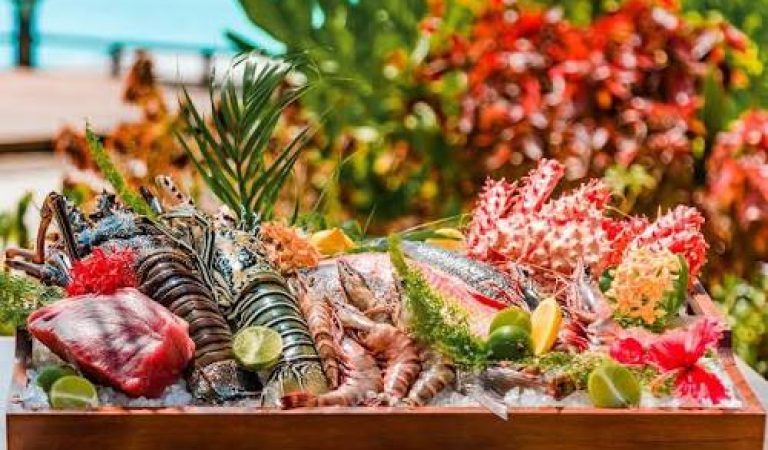 Government Advances Direct Market Access for Reef Fishermen Through Maldives Resorts