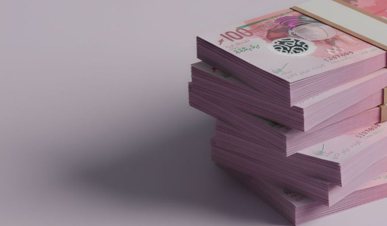 Government Secures Over MVR 1.8 Billion Through Treasury Bill Issuance to Support Near-Term Financing Needs