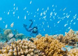 Grand Park Kodhipparu Maldives Launches ‘Celebrate More, Feel More’ Seasonal Experiences for Final Quarter of 2026
