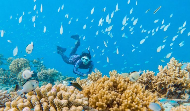 Grand Park Kodhipparu Maldives Launches ‘Celebrate More, Feel More’ Seasonal Experiences for Final Quarter of 2026