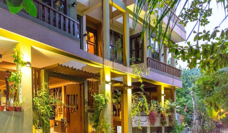 Guesthouses Capture 22.6 Percent of Maldives Tourist Arrivals as Local Tourism Sector Expands