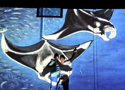 InterContinental Maldives Maamunagau Resort Launches Graffiti Club to Celebrate Creativity and Team Culture