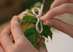 JW Marriott Maldives Resort & Spa Marks Earth Day with Immersive Wellness and Garden Experiences