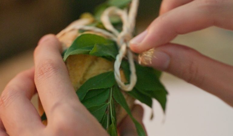 JW Marriott Maldives Resort & Spa Marks Earth Day with Immersive Wellness and Garden Experiences