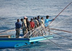 MMA Sees Growth in Value-Added Fish Exports as Government Advances Fisheries Modernisation