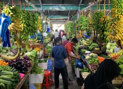 Maldives Consumer Prices Fall 1.15% in August as Electricity and Air Travel Costs Ease