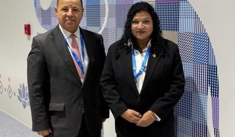 Maldives Discusses Economic Stability and Sustainable Growth with IMF Executive Director