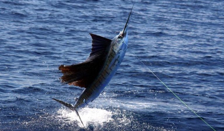 Maldives Expands Adventure Tourism Offerings to Strengthen Global Market Appeal