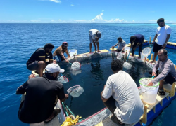 Maldives Expands Mariculture Investment and Skills Development to Strengthen Blue Economy