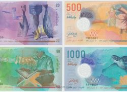Maldives Government Opens MVR 1.11 Billion Treasury Bill Subscription Across Four Short-Term Tenors