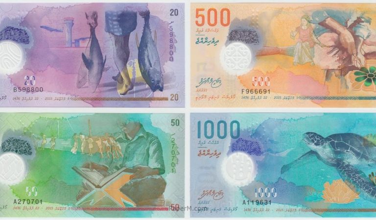 Maldives Government Opens MVR 1.11 Billion Treasury Bill Subscription Across Four Short-Term Tenors