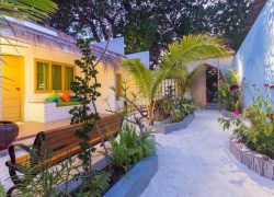 Maldives Green Tax Revenue Reaches USD 97.3 Million to Support Environmental Development