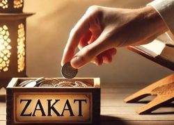 Maldives Records 43% Rise in Zakat al-Mal Collection in July as Annual Receipts Reach USD 6.29 Million