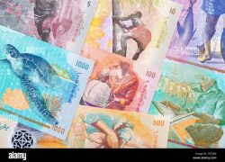 Maldives Records USD 1.56 Billion in State Revenue as Tax Collections Strengthen