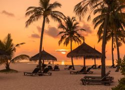Maldives Resort Rent Revenue Rises 10.8% to USD 103.76 Million as Tourism Sector Strengthens