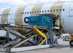 Maldives Sea-to-Air Cargo Exports Rise 88 Percent as Transhipment Activity Reaches Record High