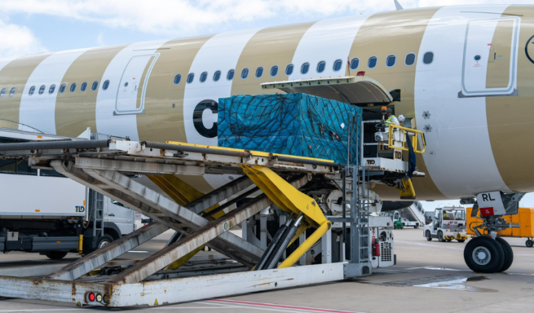 Maldives Sea-to-Air Cargo Exports Rise 88 Percent as Transhipment Activity Reaches Record High