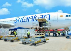 Maldives Sea-to-Air Cargo Exports Surpass 335 Tonnes in June, Reflecting Strong Growth in Regional Logistics Activity