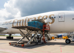 Maldives Sees 49% Growth in Monthly Sea-to-Air Cargo, Totalling 433 Tonnes in September