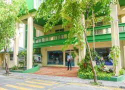 Maldives Sovereign Development Fund Deposits Rise to USD 77.82 Million as Government Strengthens Debt Management