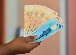 Maldives Strengthens Economic Outlook with MVR 1.05 Billion Treasury Bills Offering
