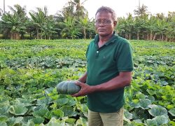 Maldives–Türkiye Trade Agreement Opens New Opportunities for Agricultural Modernisation