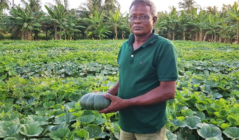Maldives–Türkiye Trade Agreement Opens New Opportunities for Agricultural Modernisation