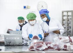 Malé’s Evolving Labour Market Highlights New Opportunities for Inclusive Private Sector Growth
