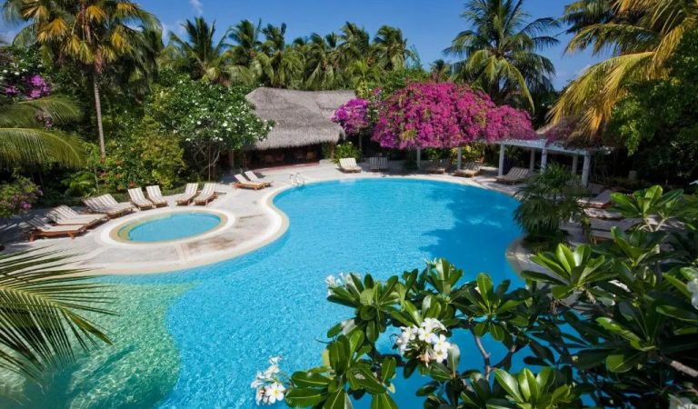 Niva Kuramathi Maldives Secures Travelife Gold, Strengthening Maldives’ Global Sustainable Tourism Appeal