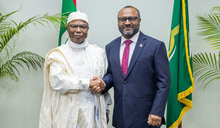 OIC Secretary General Pays Courtesy Call on Minister of Islamic Affairs