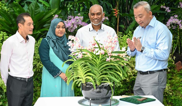 Orchid Hybrid Named in Honour of Maldivian President and First Lady During State Visit to Singapore