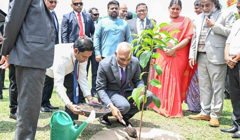 President Dr Mohamed Muizzu Joins Commemorative Tree Planting in Colombo to Mark 60 Years of Maldives–Sri Lanka Relations