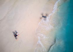 President Muizzu Champions Innovation and AI to Strengthen Maldives’ Global Tourism Leadership