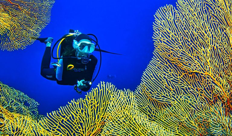 Pullman Maldives Maamutaa Launches Aqua Week 2025 to Celebrate Marine Biodiversity and Sustainable Tourism