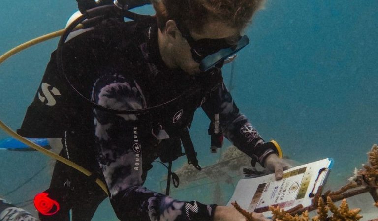 Resort Strengthens Marine Sustainability Initiatives with Appointment of New Biologist