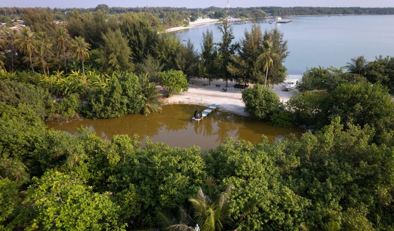 Tourism Ministry Opens Tenders for Eco-Focused Resort Developments in Baarah, Haa Alifu Atoll, and Funadhoo, Shaviyani Atoll