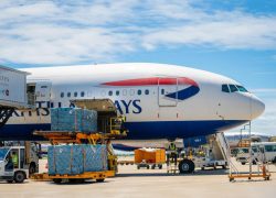 Velana International Airport Records Surge in Cargo Operations Amid Expanding Global Trade Networks